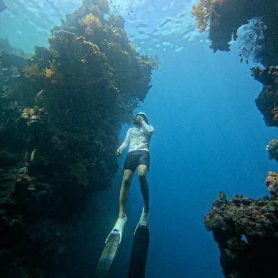 fernanair87's profile picture. belajar garap airdrop
follow auto follback
Reddio 
Gnoma Anoma Anomage (🧙‍♂️,🧙‍♂️)