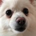 tinskou (@t1nsk0u) Twitter profile photo tinskou (@t1nsk0u) Twitter profile photo