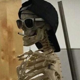 blxrryface69's profile picture. 