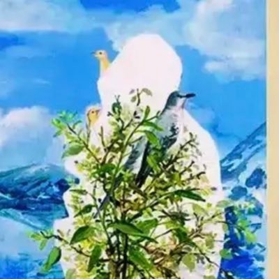 qddy02's profile picture. 