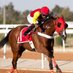 مبارك الهاجري (@mubarak_09876) Twitter profile photo مبارك الهاجري (@mubarak_09876) Twitter profile photo