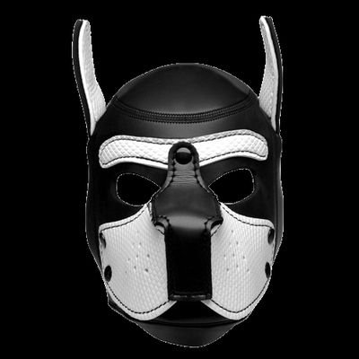 BDSM/VersaSwitch/SadoMasochist/
Brat/ Pansexy demon 😈/ Orgynizer
(6/6)
Telegram: Thomasino123
//////////
@HousePartyProd_