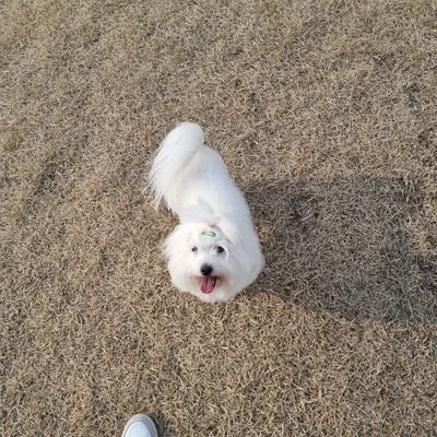 Rep_Park's profile picture. ▶Line : qotks35