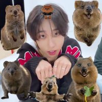 vellquokkacola🇦🇷 (@vellretto) 's Twitter Profile