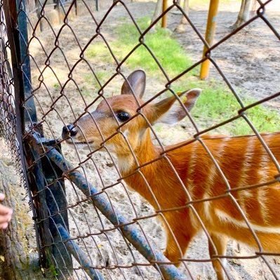 datussadh's profile picture. yaudah iya