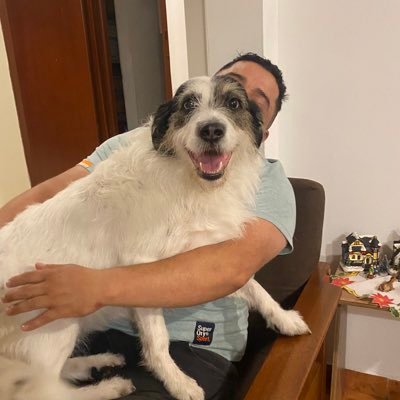 🅐🅜🅞 🅐 🅓🅞🅛🅛🅨 🐶ΩPIΠΔDΩR - URIβΣ GRΔΠDΣ- CΣΠTRΩ DΣRΣCHΔ-CΔTΩLICΩ- ✝️🙏 cuenta alterna: @UribistaPastuso 🤝