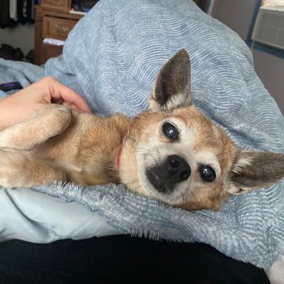 whitneymaloney's profile picture. 