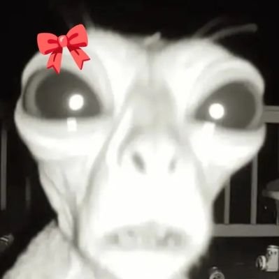 meg512349366548's profile picture. inbread