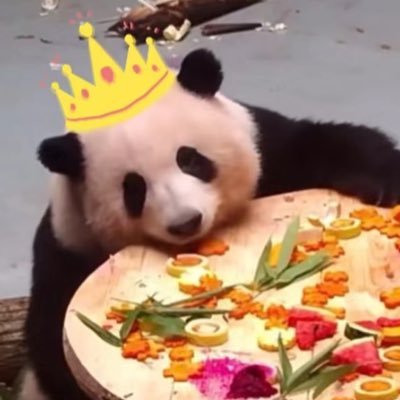 Miley_He_Panda's profile picture. 