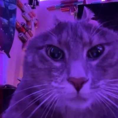 RentarOvakim's profile picture. 
