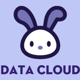 datacloudpundit's profile picture. Data Cloud