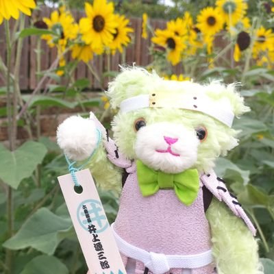 高田紋吉さんのプロフィール画像