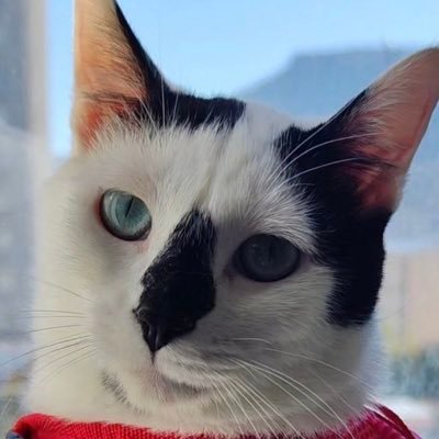 asords001166's profile picture. 