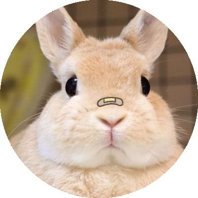호기さんのプロフィール画像