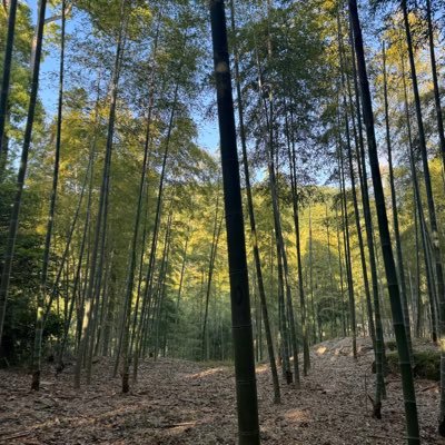 Bozhou414's profile picture. 