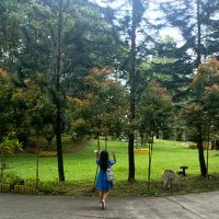 abae, RPm '25 (@abaeeeeeeeeeee) 's Twitter Profile