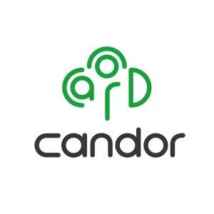 @CandorLtd