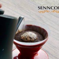 SENN COFFEE INDONESIA (@senncoin) 's Twitter Profile Photo SENN COFFEE INDONESIA (@senncoin) 's Twitter Profile Photo