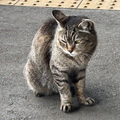 yhvyVySQ2p1OV8d's profile picture. 食う寝る遊ぶ