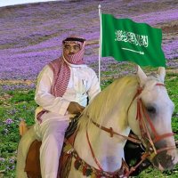 ⚔️ عـــواد الـــعـــــنزي 🌴 (@sayf_ksa3) 's Twitter Profile