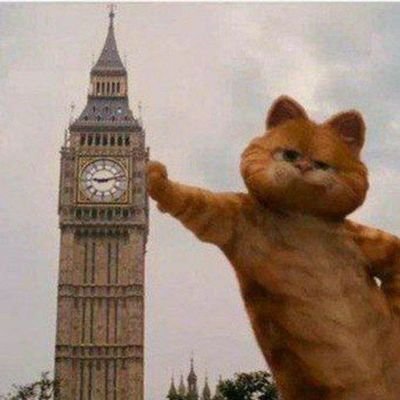 AmirArsalan2077's profile picture. Electrical Eng Std | SharifUT