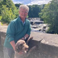 Bill Jones (@billjones2021) 's Twitter Profile Photo