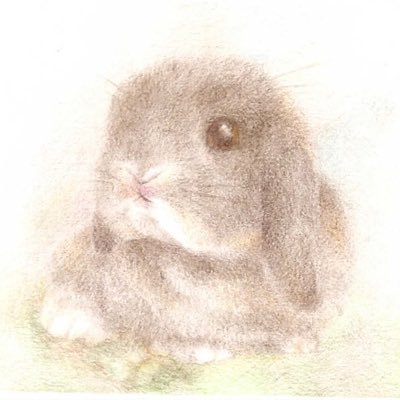 絵を描くこと、文章を書くこと、物を作ることが好きです。 うさぎさんが大好きです。 Instagram:https://t.co/3GcOuIoW5o