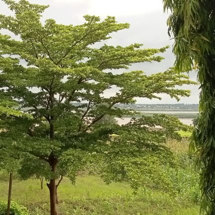 OdehFaith412547's profile picture. 