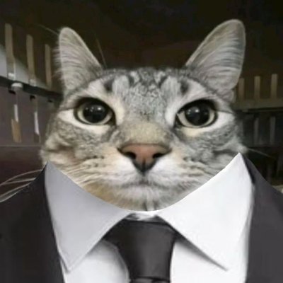 Tsukumi_zn's profile picture. - Destiny 2 Emblem giveaway Enjoyers.
- Cat Sharing Enjoyers.