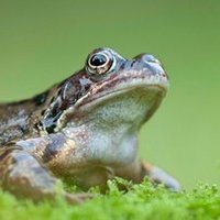 Sustainabledude (@sustainabledud1) 's Twitter Profile