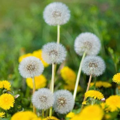 AviadTowns37712's profile picture. 