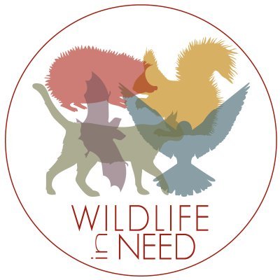 We care for sick, injured, distressed and orphaned wild animals, including feral cats.