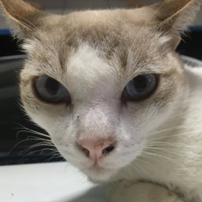 Mate5599's profile picture. 