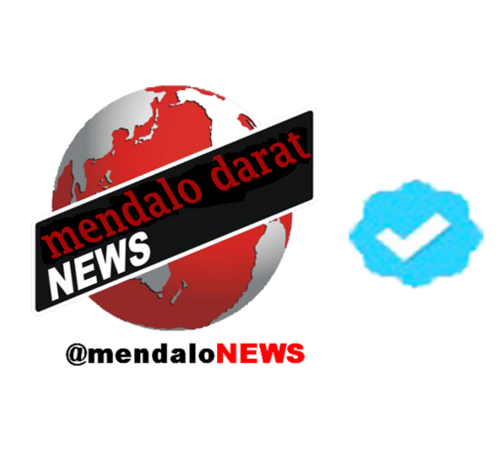 mendaloNEWS's profile picture. 