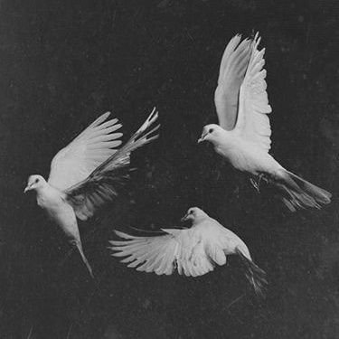 15darks_ke's profile picture. 