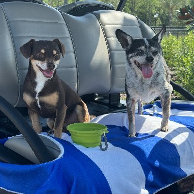 JB_THPGolf's profile picture. Golf Cart Connoisseur
Work at @THPGolf