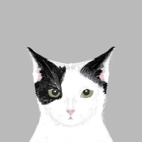 آنسة عطية (@ll2lll2ll) 's Twitter Profile Photo آنسة عطية (@ll2lll2ll) 's Twitter Profile Photo
