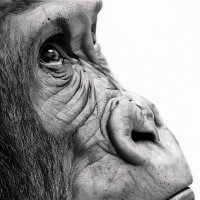 Rowan Gallery (@rowangallery) 's Twitter Profile Photo