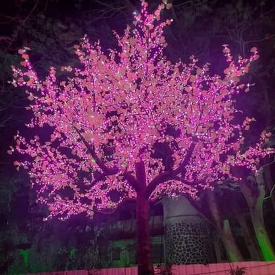 Ansar14320000's profile picture. bharat zindabaad