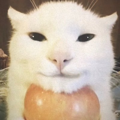 N_0_0_B_Y's profile picture. swag