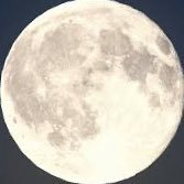 pe_ace20's profile picture. 