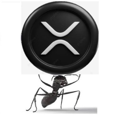 XRPAntUK's profile picture. #xrp #xrparmy #xrpl #ripple #crypto #blockchain #notfinancialadvice