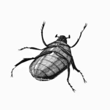 RatlesMagoo's profile picture. Nada demais