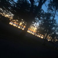 kiwi (@randomlyuserr) 's Twitter Profile