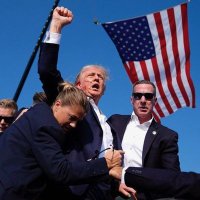 Constitutionalist (@rightvet23) 's Twitter Profile