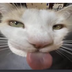 HybertNoah90970's profile picture. 