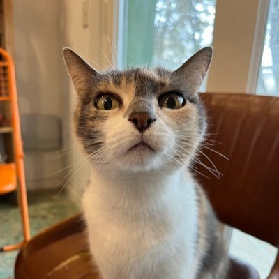 supersambayon_'s profile picture. Me sale bien cocinar y comer