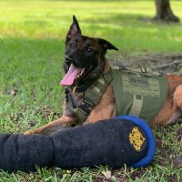 EUSA-K9 (@eusak9) 's Twitter Profile