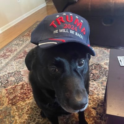 Heather_T612's profile picture. Be Weird,Be Rude,Stay Alive #everdayisamiracle #TrumpGirl 🇺🇸🙏