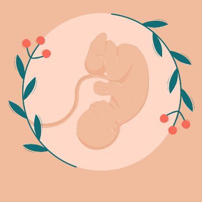 A space to connect with local associations: Meet doulas who have similar or different work to yours! Start your own network! Collaborate!